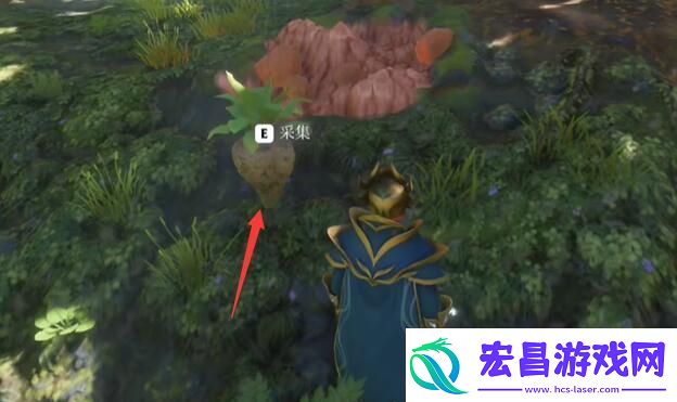 雾锁王国糖制作方法