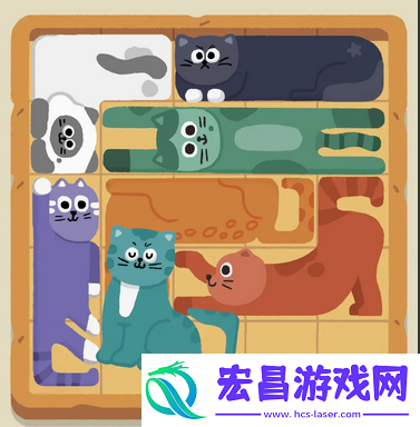 猫迷必玩