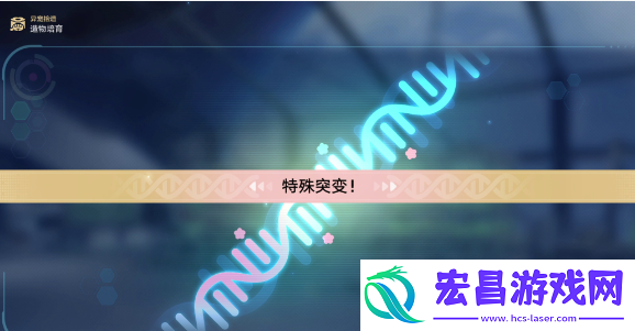 崩坏