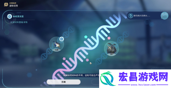 崩坏