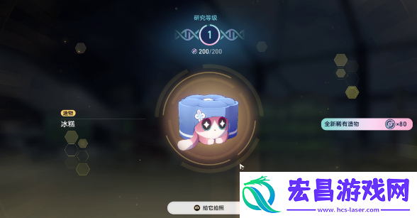 崩坏