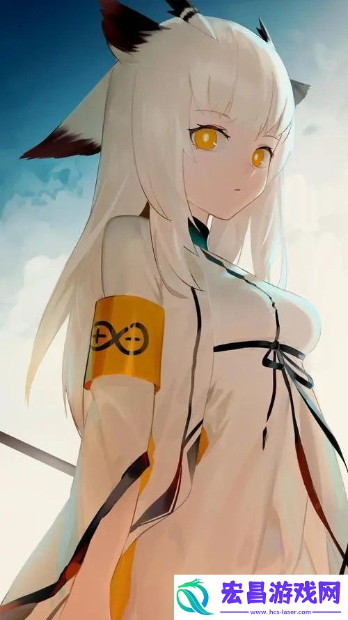 精二和精三的区别