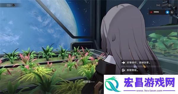 崩坏