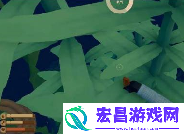 木筏求生海草攻略