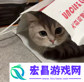 2024微信最火头像图片大全