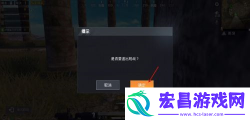 和平精英观战指南