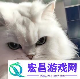 2024微信最火头像图片大全