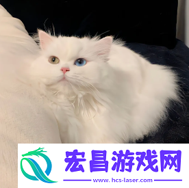 2024微信最火头像图片大全