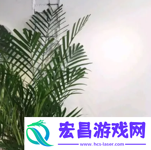2024微信最火头像图片大全
