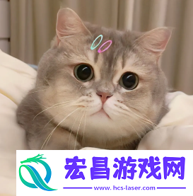 2024微信最火头像图片大全