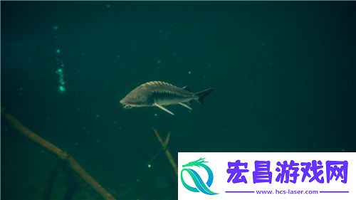 梦幻西游喵千岁