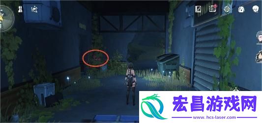 鸣潮灯笼果采集在哪位置分布图