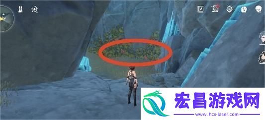 鸣潮灯笼果采集在哪位置分布图