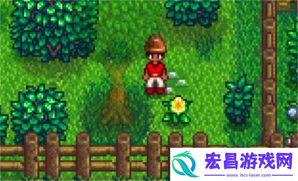 星露谷物语**留的宝藏如何选择推荐