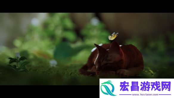 迷失评测