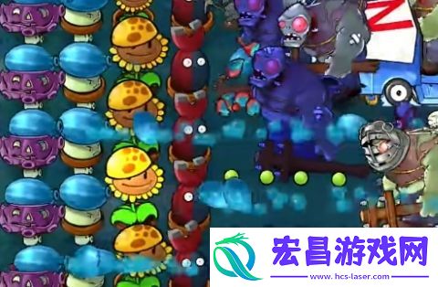 植物大战僵尸杂交版挑战模式第25关怎么过