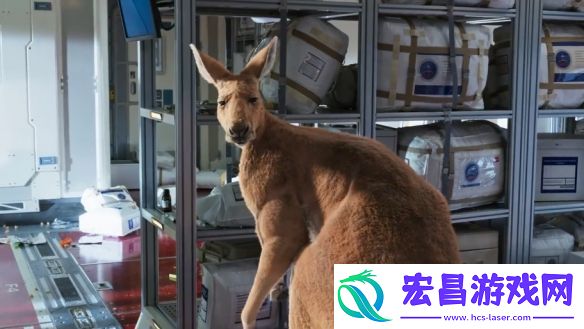 沈腾