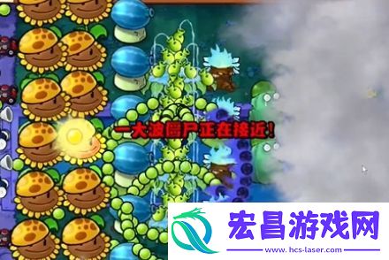 植物大战僵尸杂交版冒险模式第18关通关攻略