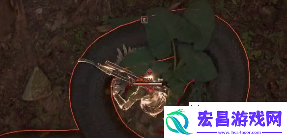 森蚺之战