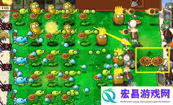 植物大战僵尸杂交版冒险1关通关攻略