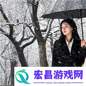 肉食教师食取报告3HD