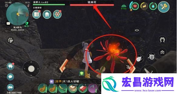 创造与魔法摘彼岸花怎么获得