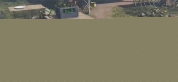 七日世界熏肉罗宋汤食谱获取方法