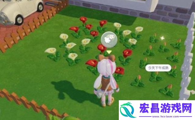 心动小镇桃色的花怎么种出来