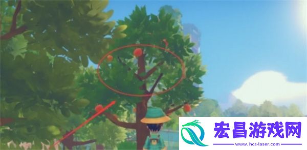 波西亚时光水果蛋挞制作方法