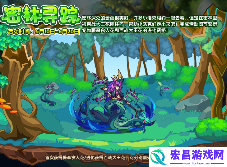 洛克王国密林寻踪攻略