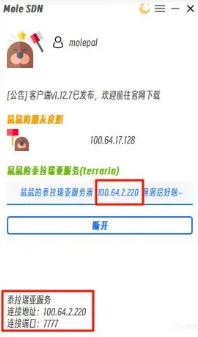 星露谷物语异地联机攻略