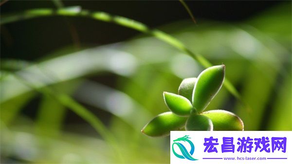 适合男人深夜孤独寂寞的句子