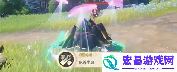 鸣潮龟养生息成就怎么做