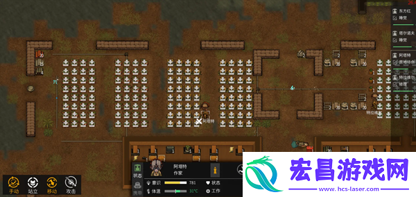 秩序