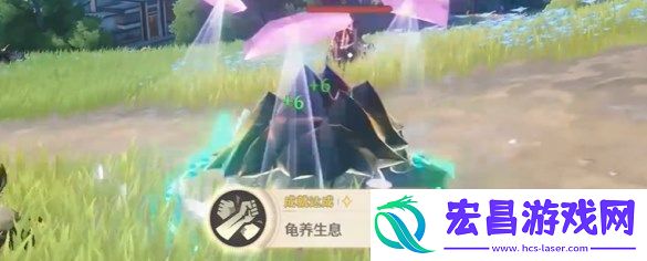 鸣潮龟养生息成就怎么做