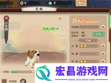 寻仙手游新手前期宠物培养指南