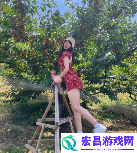 老狼老狼芦苇芭蕉：一首歌谣背后的文化传承与象征！