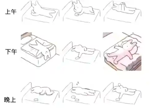 悲惨世界阵容搭配图