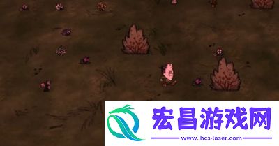 饥荒新家园精神值怎么提升