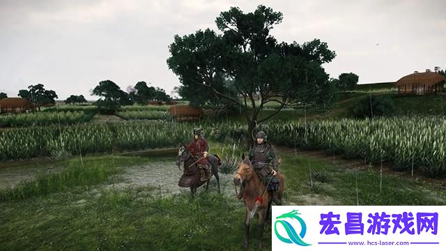 全面战争三国种田流怎么玩