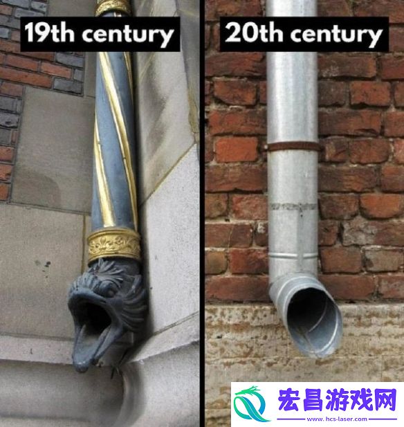 只有白毛抓住了把柄囧图穿最嫩的皮干最硬的活