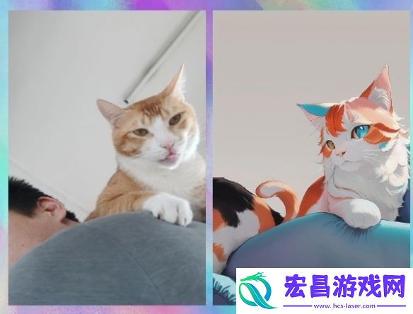 只有白毛抓住了把柄囧图穿最嫩的皮干最硬的活