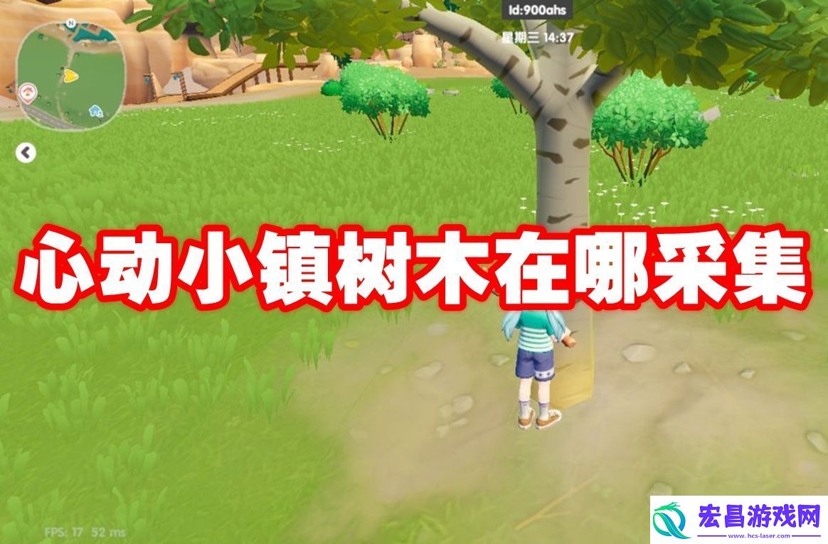 心动小镇树木在哪采集