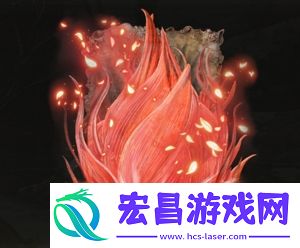 艾尔登法环猩红爱奥尼亚是否适合仿身泪滴