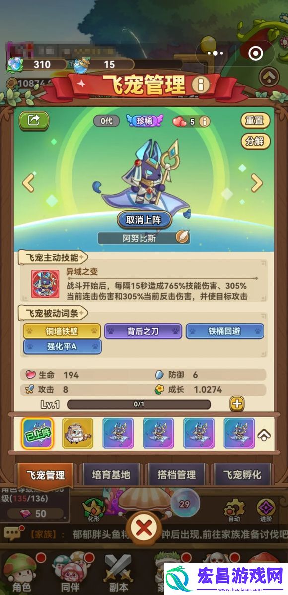 冒险大作战飞宠管理页面分享