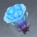 海灵芝采集路线