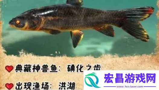 欢乐钓鱼大师体力怎么用最划算