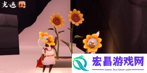 光遇运动会开启时间及玩法一览