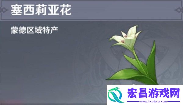 原神41版本塞西莉亚花采集路线攻略