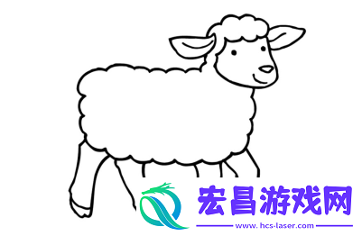 纽西兰抖羊人是真的吗那些让人无法抗拒的工作